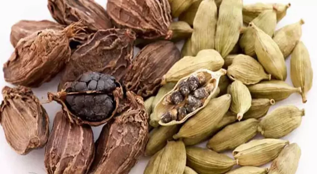 Onu tanıyan aktara koşuyor! Küçücük bir tane, büyük şifa: Kakule