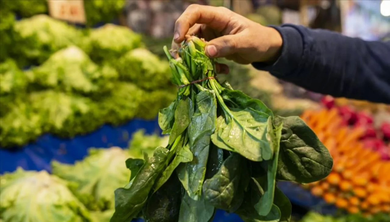 Ispanakla neler yapılır?