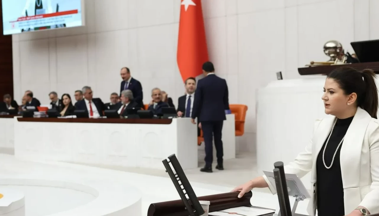 Çankırı'nın göbeğinde büyük tehlike! MHP'li Yılık'tan acil çözüm önerileri