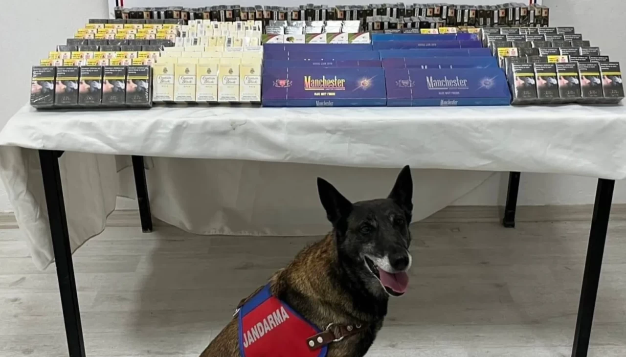 Kayseri’de jandarmadan kaçak sigara operasyonu