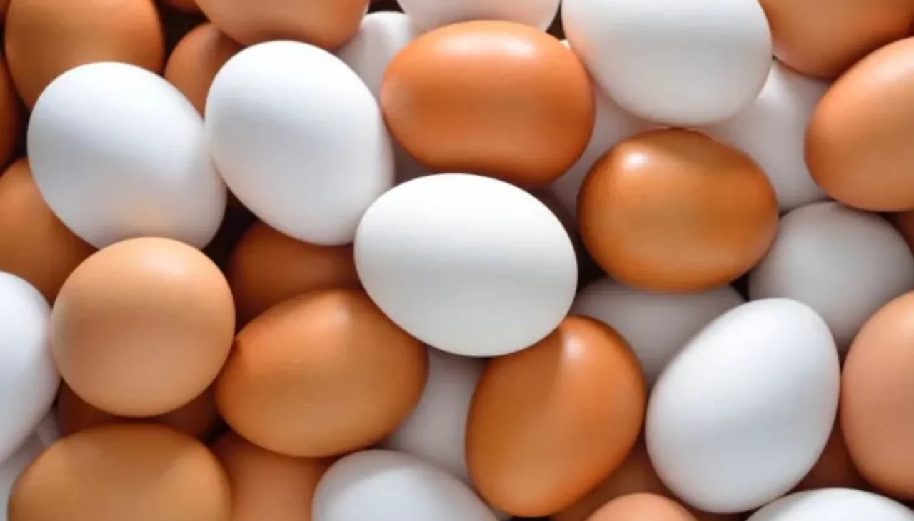 Kahverengi ve beyaz yumurta arasındaki fark nedir? Bilimsel gerçekler şaşırtıcı!