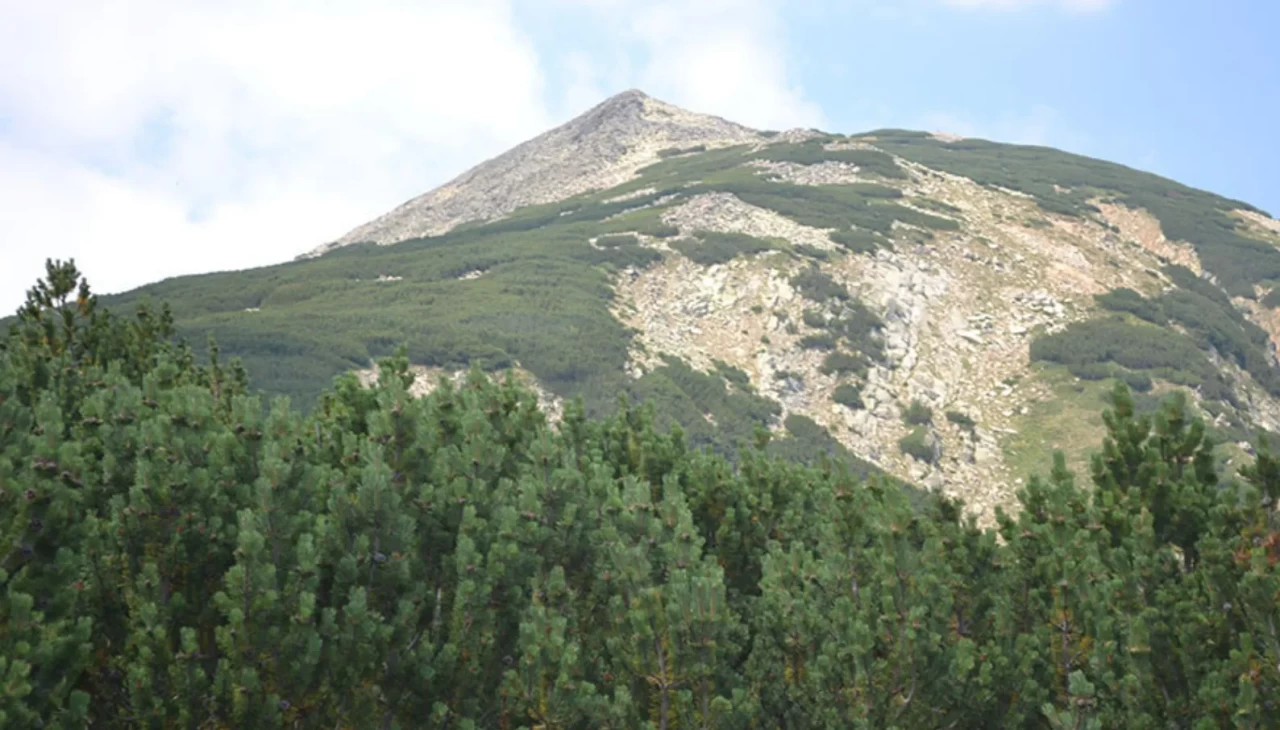 Arananlar listesindeydi, 12 yıl sonra bulundu! Yıllarca dağda münzevi yaşam sürmüş
