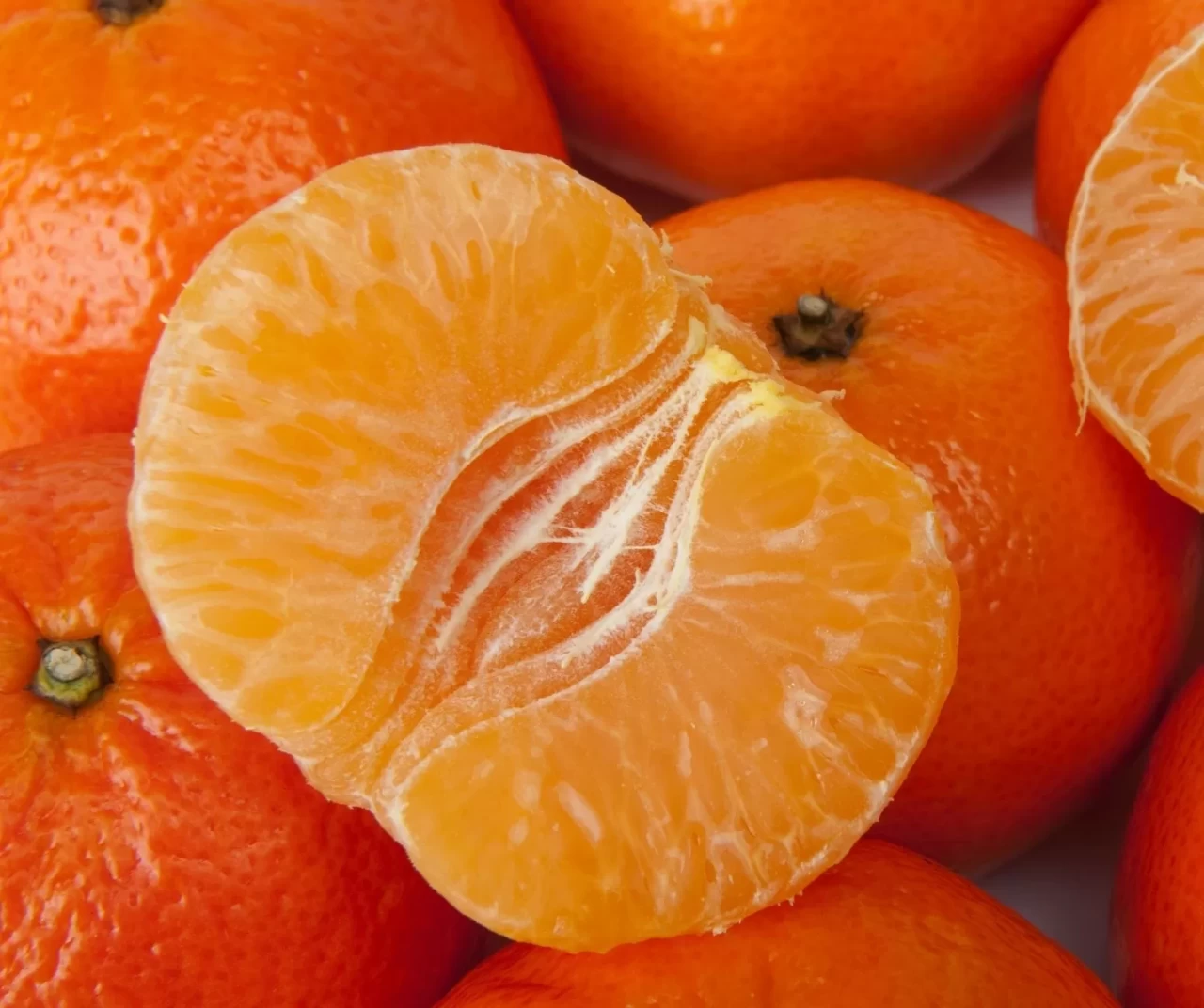 Fiyatlar yüzde 30 düştü, vatandaşın ilgisi arttı