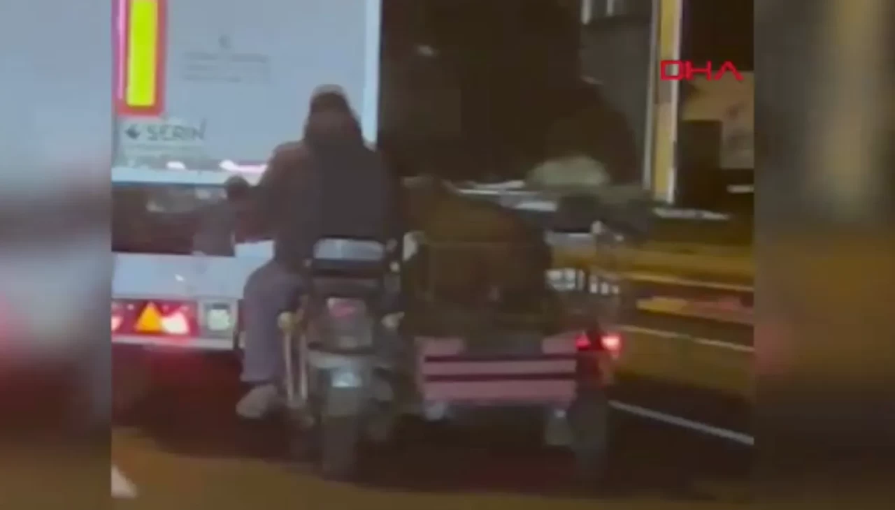 Diyarbakır’da film gibi hırsızlık! Seyir halindeki TIR’dan 3 koyun çaldılar