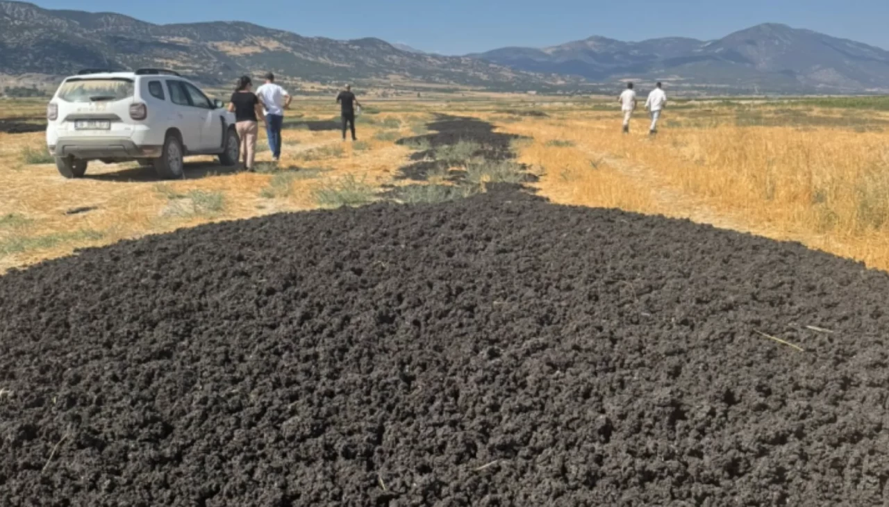 26 kamyon arıtma çamurunu araziye döken firmaya 48.6 milyon TL ceza!