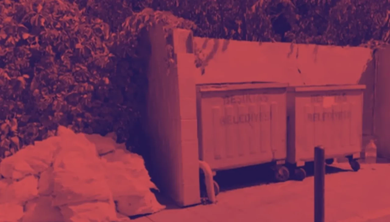 Beşiktaş’ta dehşet! Yenidoğan bebeğini önce kesti, sonra yaktı