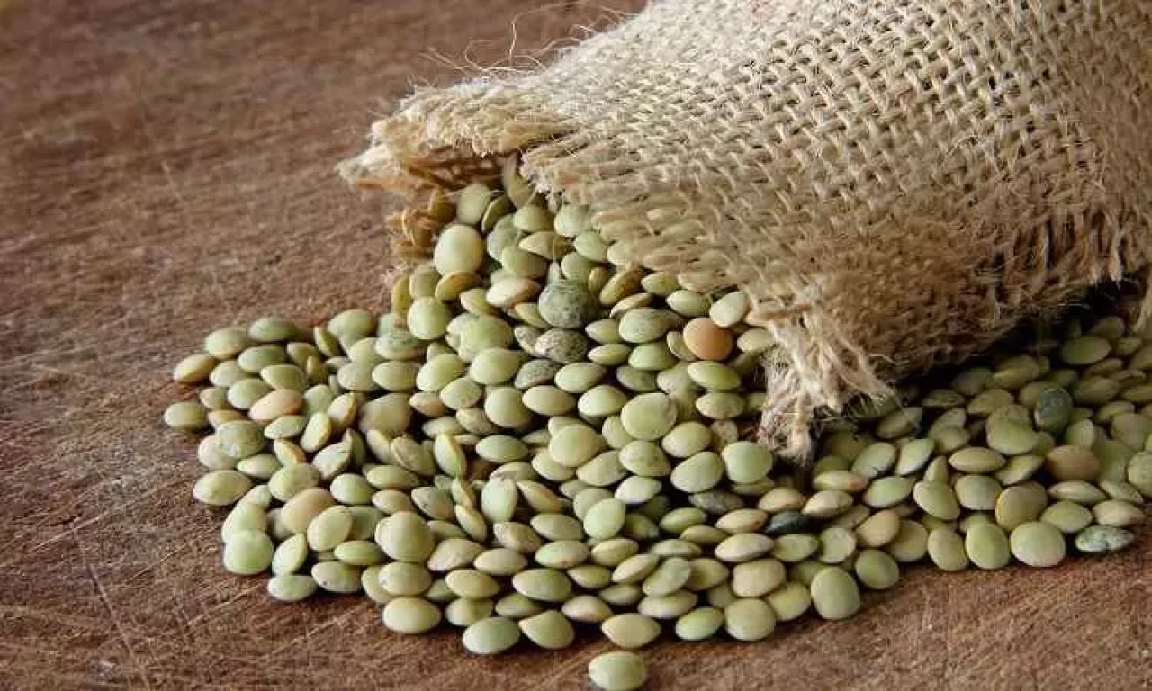 Yeşil mercimek ve yulaf ithalatında gümrük vergileri indirildi