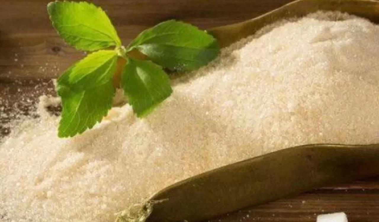 Hamileler stevia (Şeker Otu) kullanabilir mi?