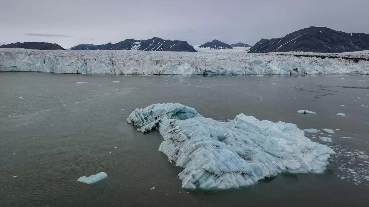 Antarktika’da balıkların yaptığı geometrik desenler keşfedildi