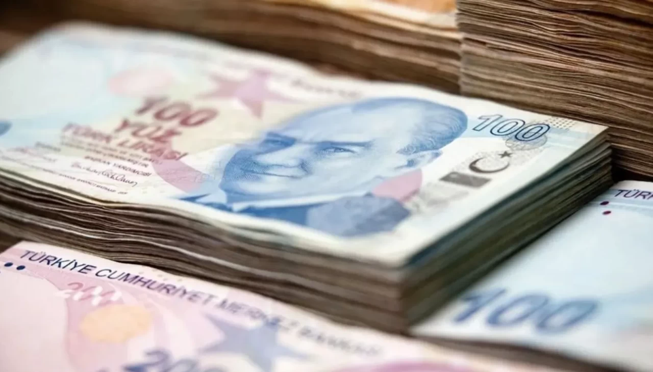 Engelli kadın ve gençlere istihdamda rekor destek