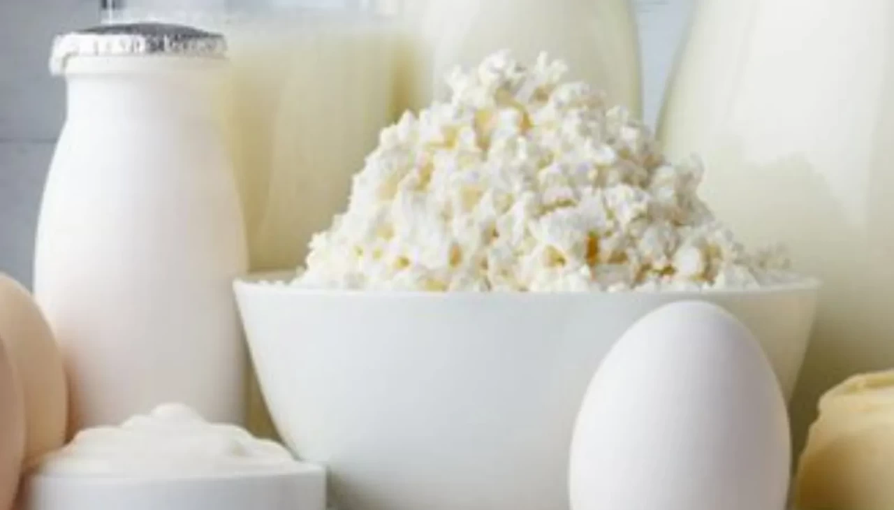 3 gün deneyin, farkı hissedin! İşte bağırsak dostu menü