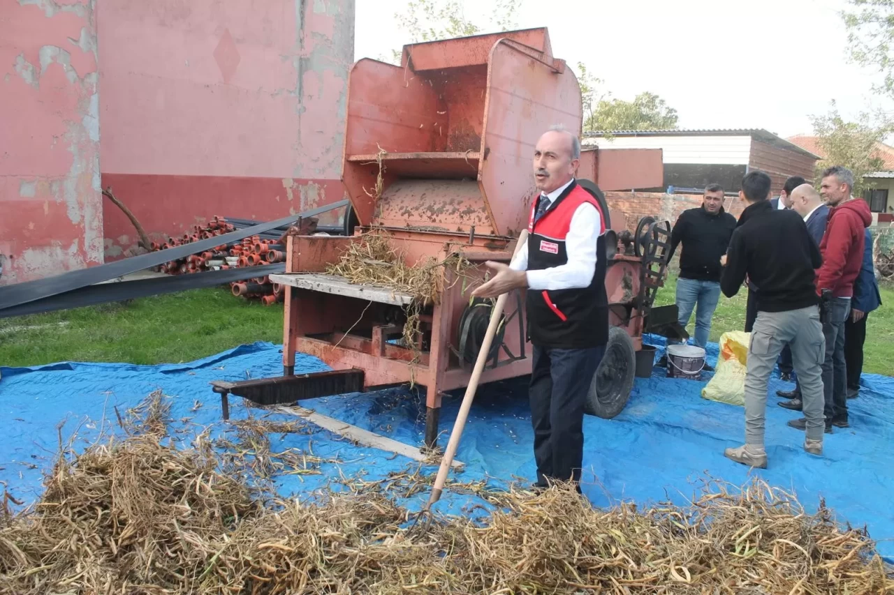 Coğrafi işaretli Kazak fasulyesinde ilk hasat festivali yapıldı