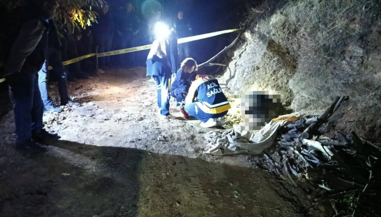 Aydın’da odun toplamaya giden kişi traktörünün yanında ölü bulundu