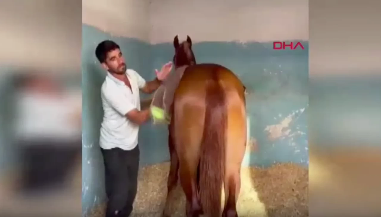 Adana’da kırmızı ışık ihlali faciaya yol açtı! 3 çocuk babası seyis ölümle pençeleşiyor