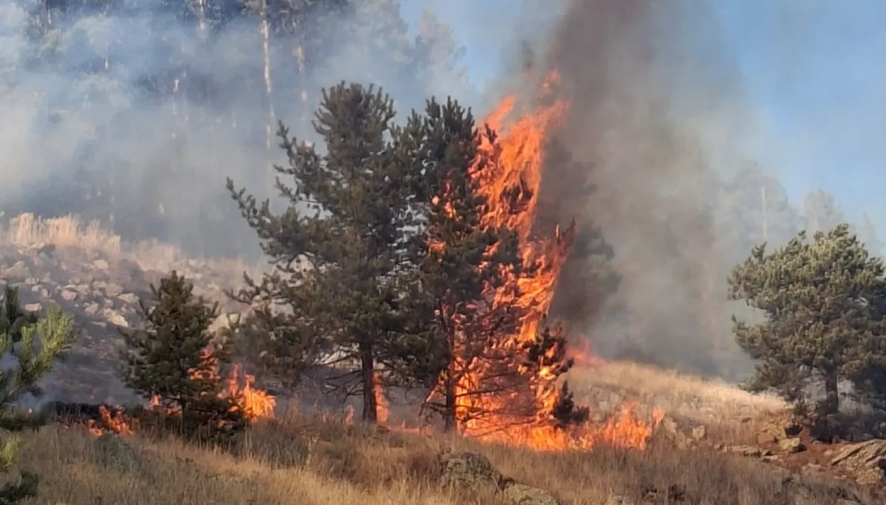 Erzurum Şenkaya’da üç ayrı noktada orman yangını: İki bölge kontrol altına alındı