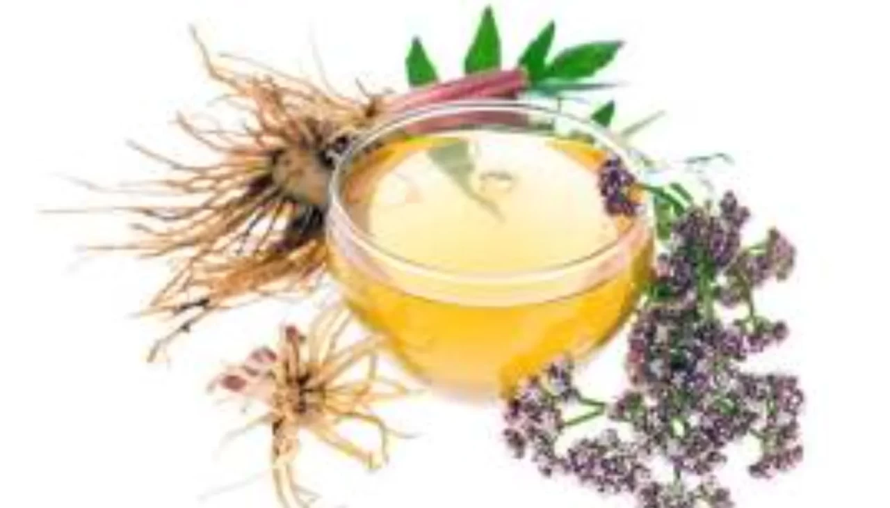 Kedi otu kökü nasıl kullanılır? Faydaları ve uzman tavsiyeleri