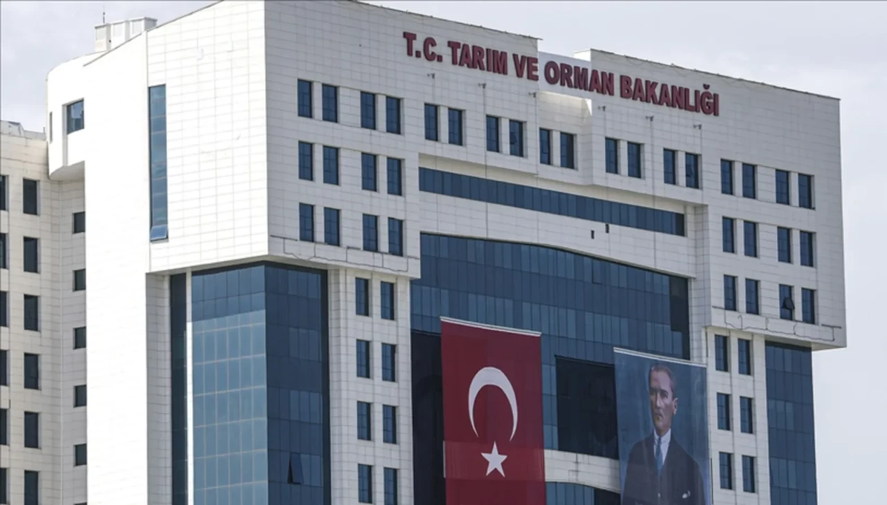 Bakanlık düğmeye bastı! Yeni yönetmelik yürürlükte