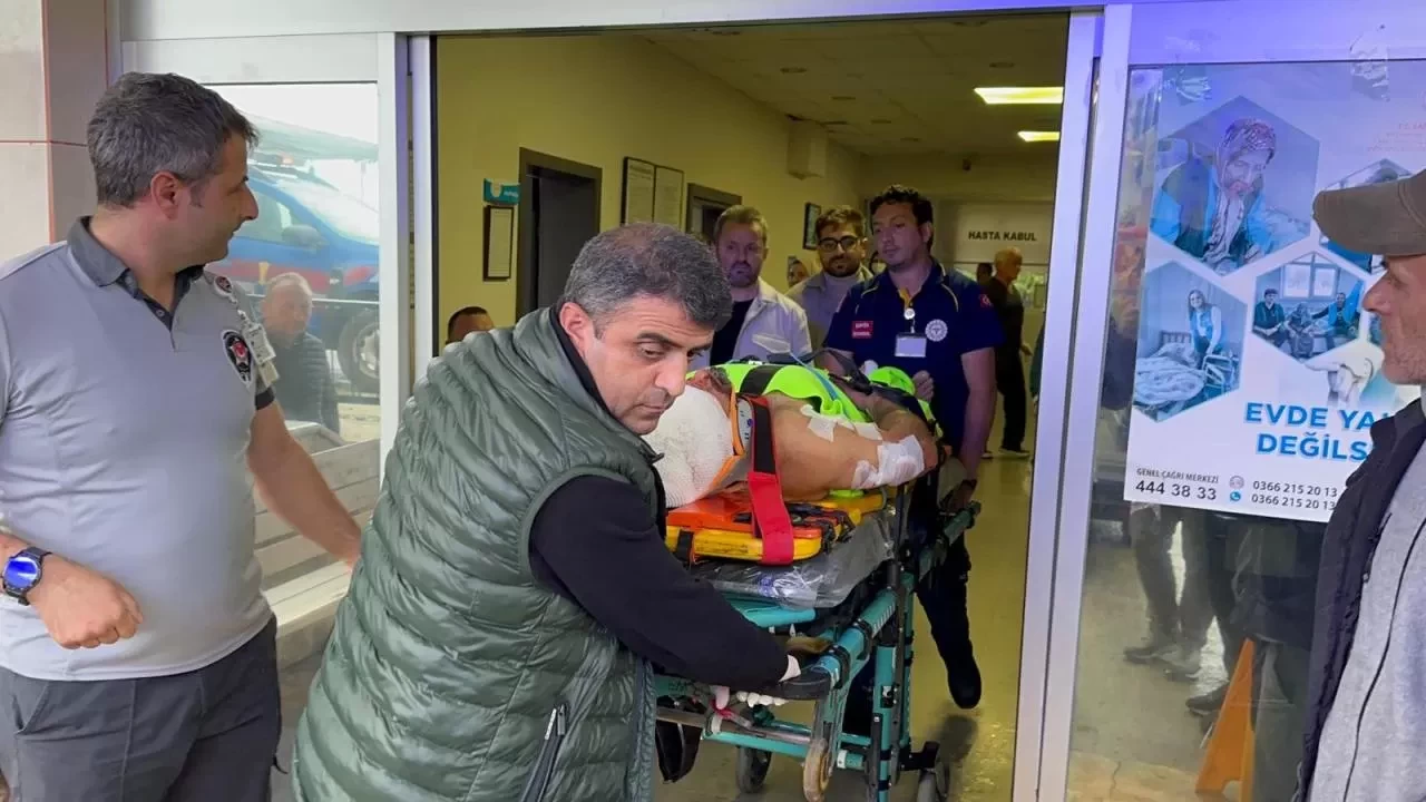 Mantar toplarken ayı saldırısına uğrayan köy imamı yaralandı