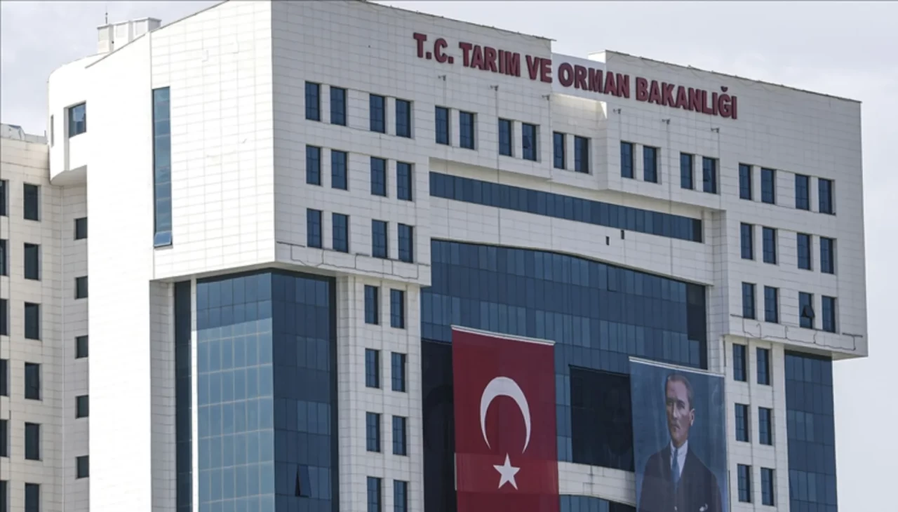 6 ton mandalina imha edildi! Tarım ve Orman Bakanlığı açıkladı