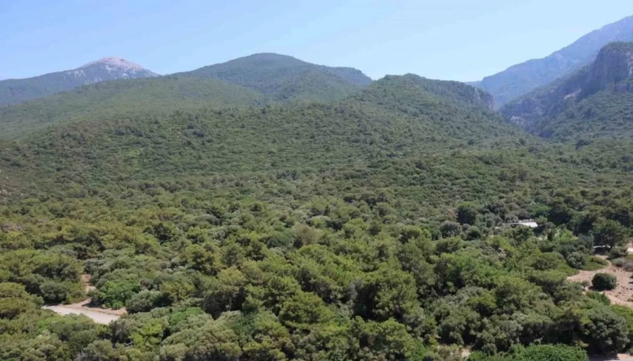 Çankırı Bayramören’de mantar toplamak için ormana giden yaşlı kadın ölü bulundu