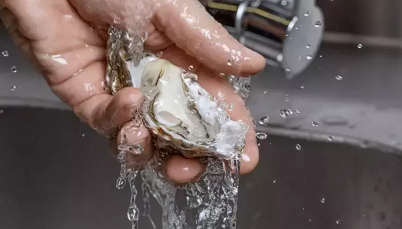 Bu yiyecekleri sakın yıkamayın! Uzmanlar uyarıyor: Adeta zehre dönüşüyor!