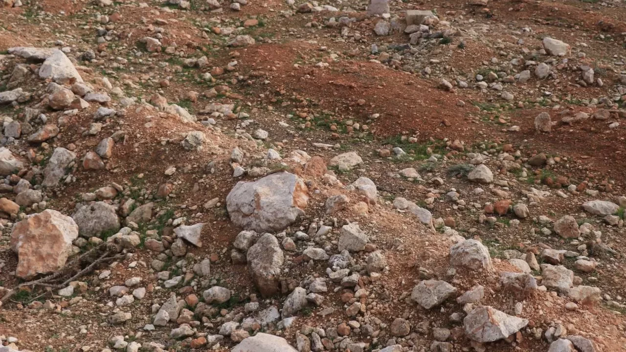 Humus’ta dehşet: Orta Suriye’de dört toplu mezar ortaya çıktı