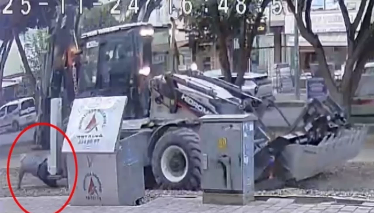 Antalya’da feci kaza: Ekmek almaya çıktı kepçenin altında can verdi!