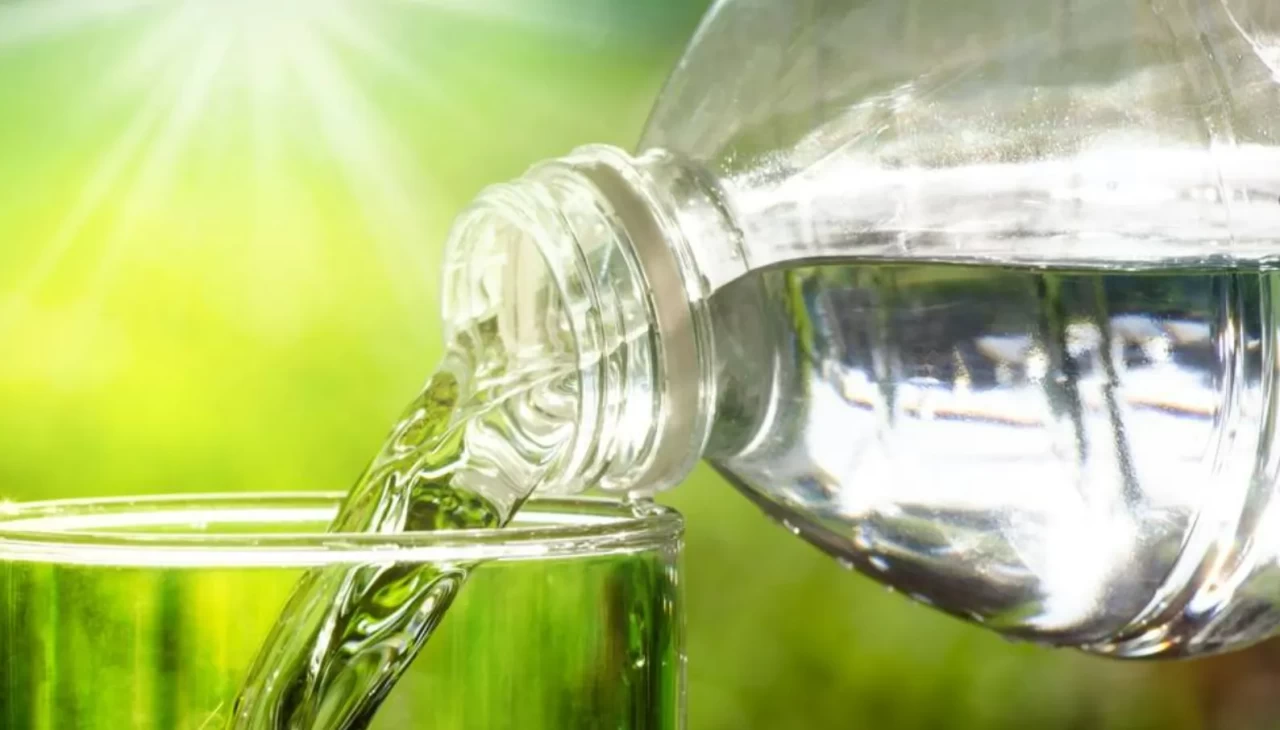 Bu basit içecek kilo vermenizi destekliyor