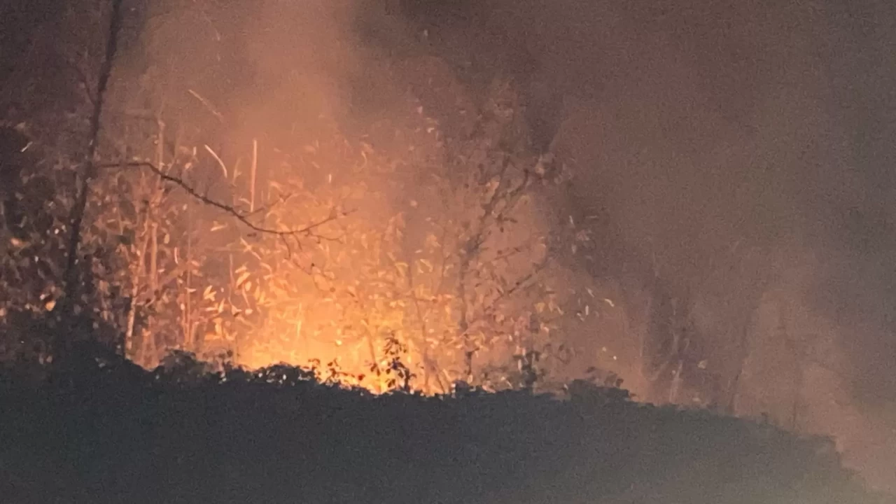 Trabzon'da çıkan örtü yangını kontrol altına alındı