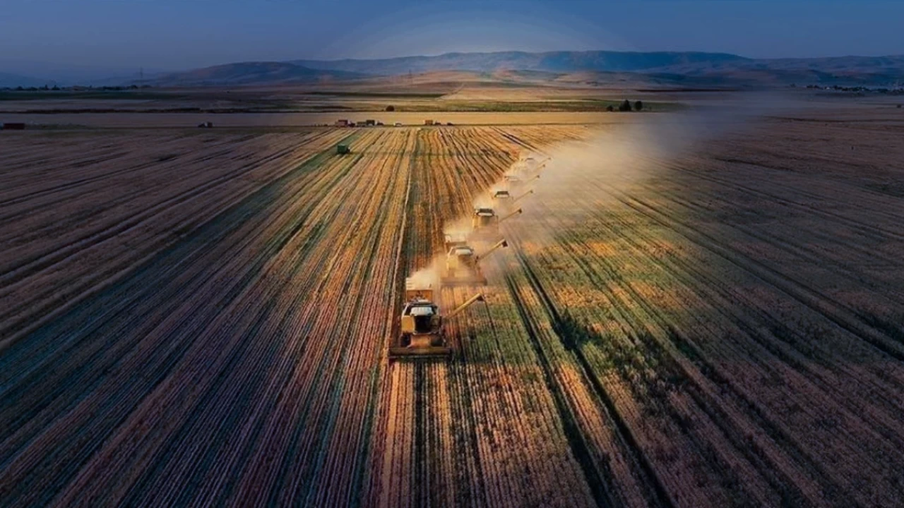 Kalkınma programları ile kırsal bölgelerde istihdam sağlanıyor