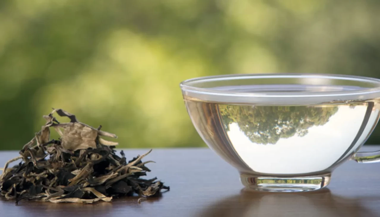 Gençlik İksiri Gibi! Beyaz çayın 4 faydasını öğrenince her gün içmek isteyeceksiniz