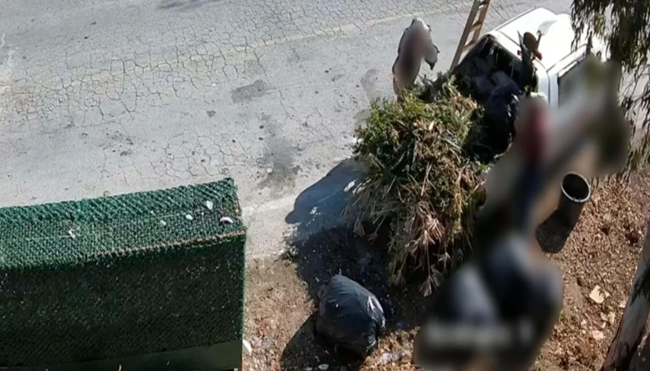 Bodrum’da çevreyi kirletenlere 19 milyon TL ceza