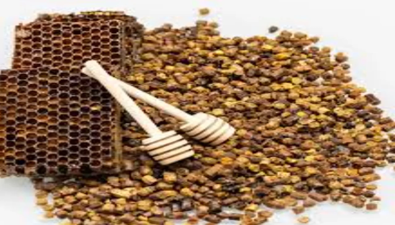 Kış hastalıklarına karşı yeni kalkan! Perga’nın faydaları saymakla bitmiyor