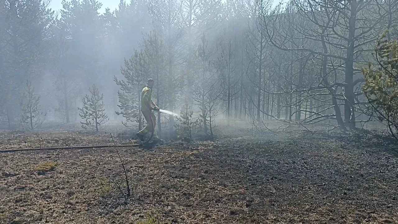 Kahramanmaraş'ta orman yangını!