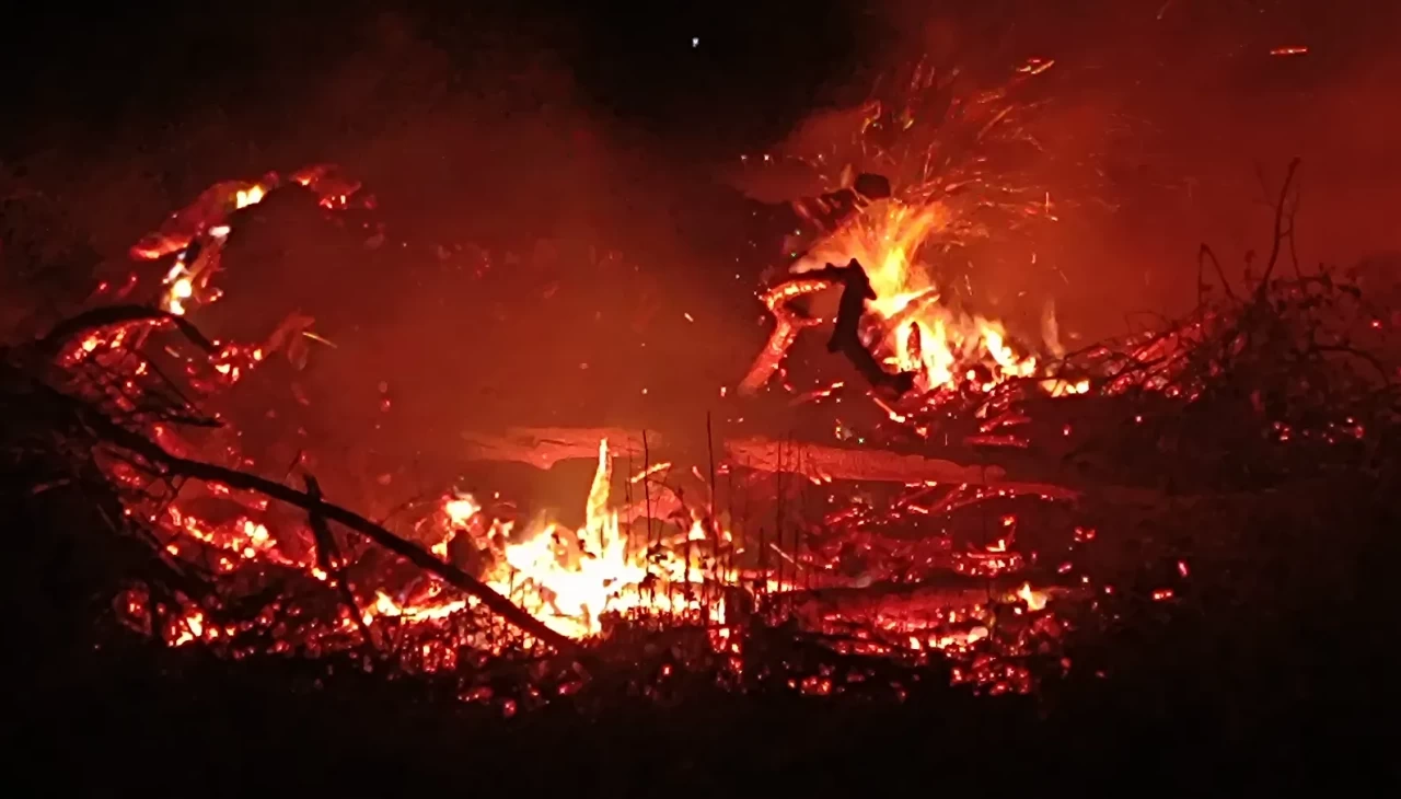 Pazaryeri’nde çiftlik arazisindeki yangın kısa sürede söndürüldü