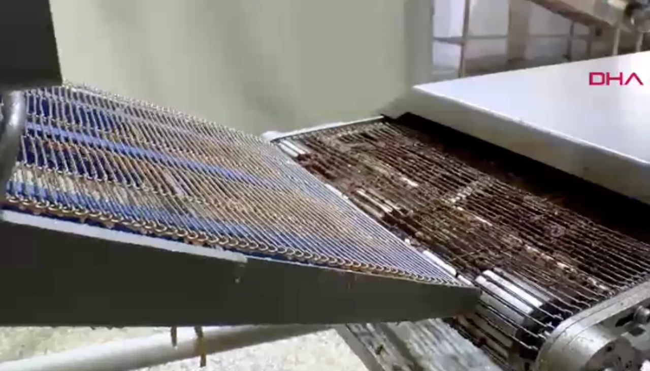 Ankara’da köfte skandalı: Deri ve kemik parçalarıyla üretim yapan iş yeri mühürlendi