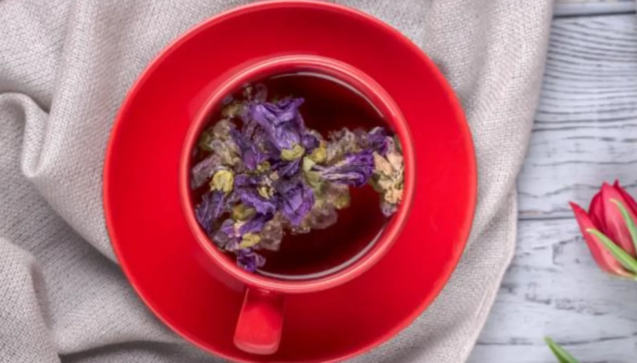 Bu bitkiyi öğrenen aktarlara akın ediyor! Ebegümecinin şaşırtan gücü