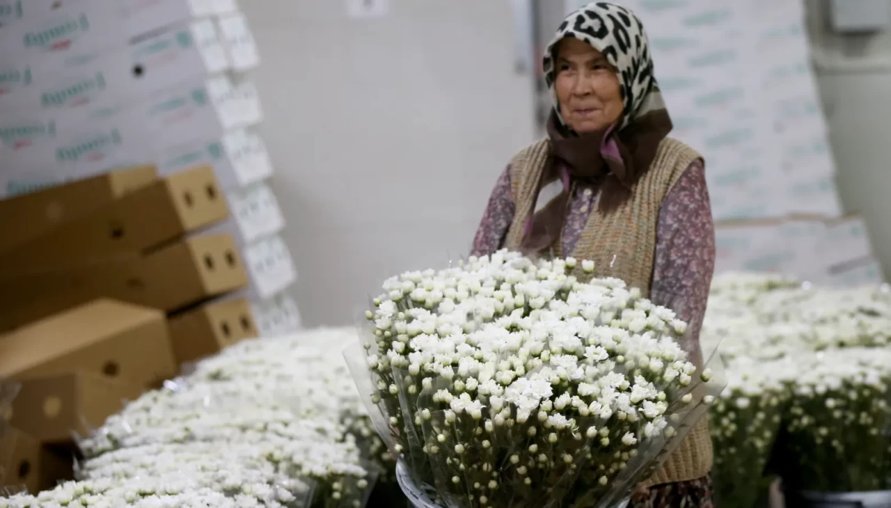 Çiçek sektörü ihracatta rekora koşuyor! 10 ayda 137 milyon dolarlık satış