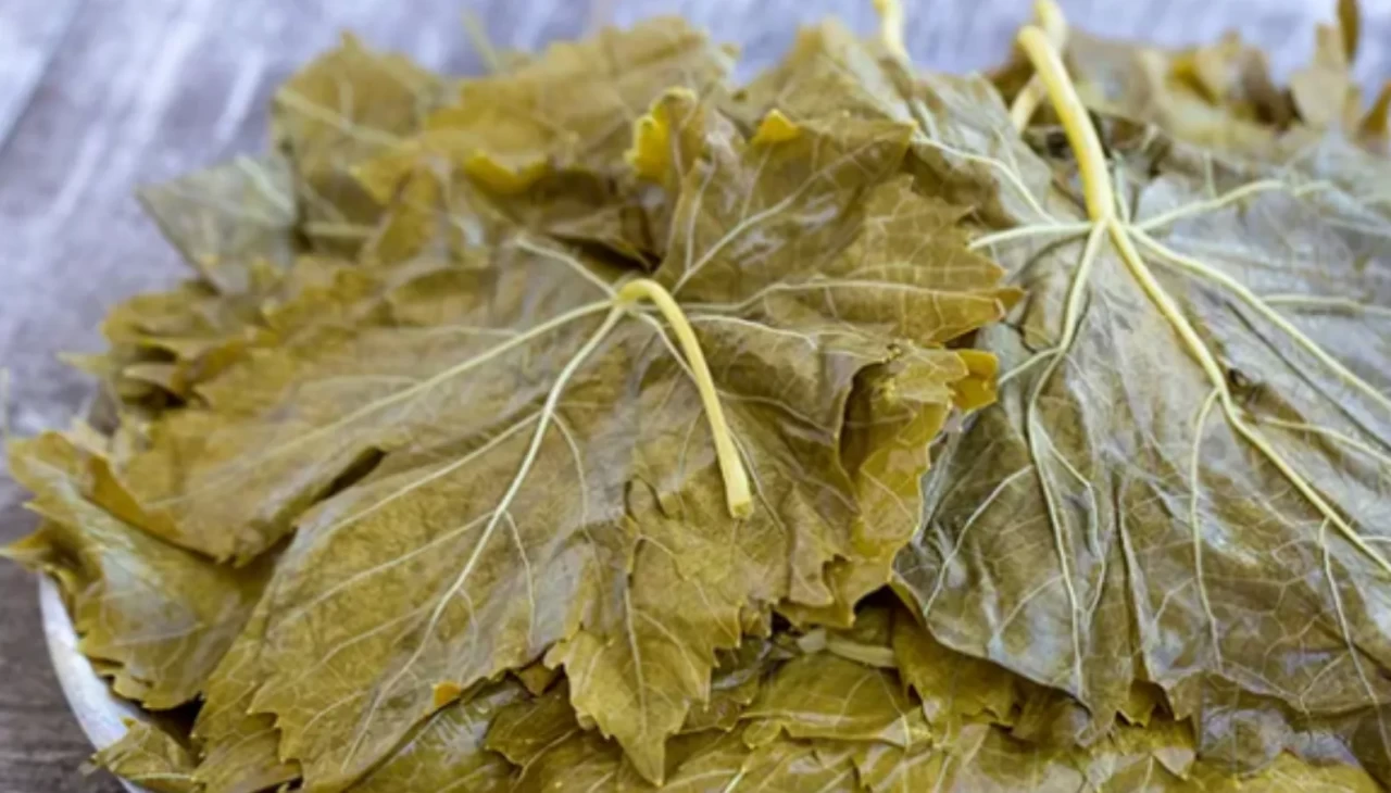 Taze ve salamura asma yaprağı nasıl kullanılır?