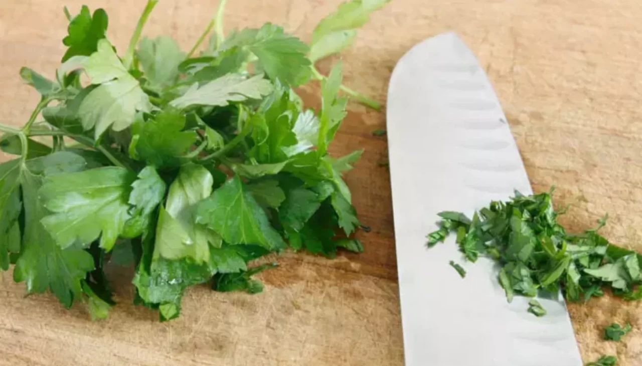 Uyumadan önce maydanoz çiğnemek ne işe yarıyor? Etkisi şaşırtıyor!