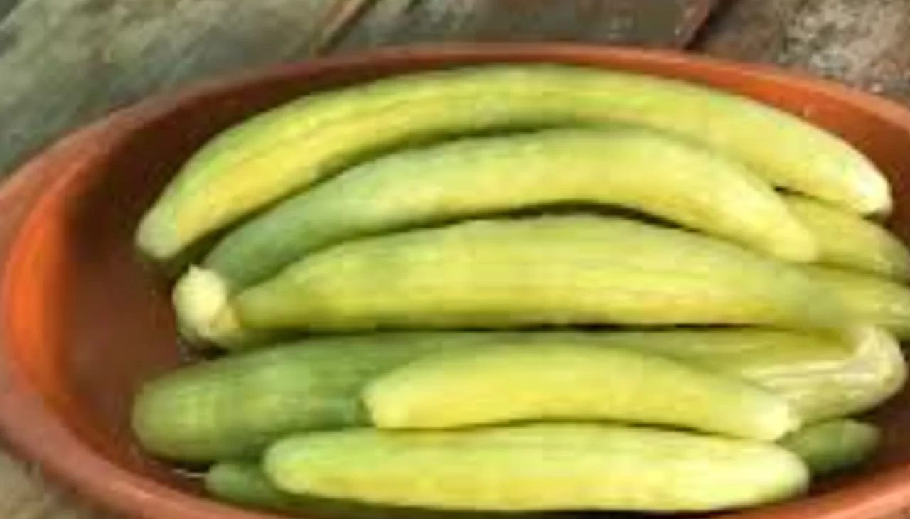 Acur turşusu nasıl yapılır? Evde kıtır kıtır acur turşusu tarifi