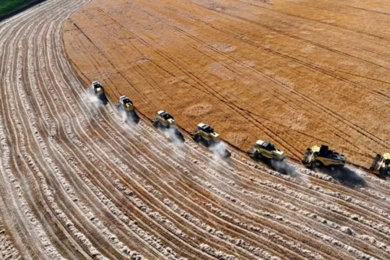 331 milyon liralık tarımsal destekleme ödemesi hesaplara yatırılıyor