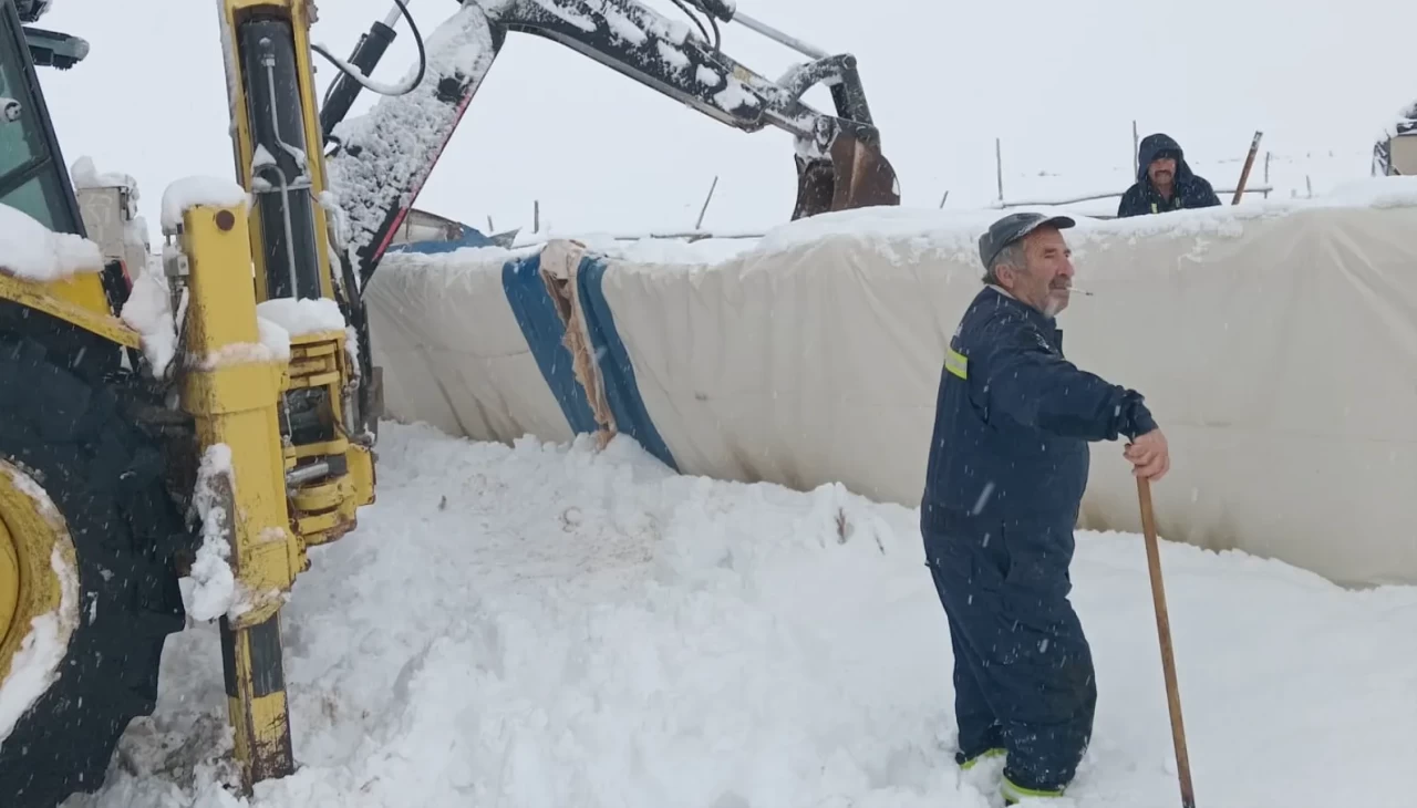 Sivas’ta kar çöken çadırın altında kalan 8 koyun öldü