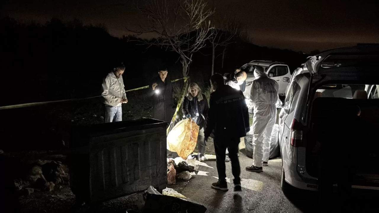 Samsun’da çöp kutusunda 9 ölü köpek bulundu: Soruşturma başlatıldı