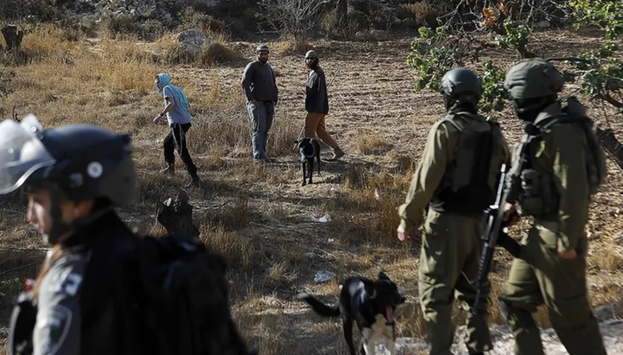 İsrail zeytin hasadını engellemek için beldeyi kapattı
