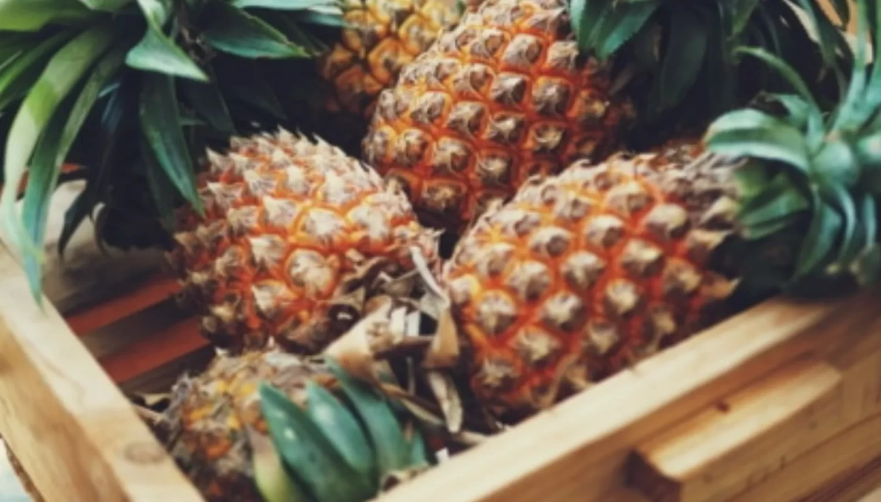 Ananasın lezzetini maksimuma çıkarmak için püf noktaları