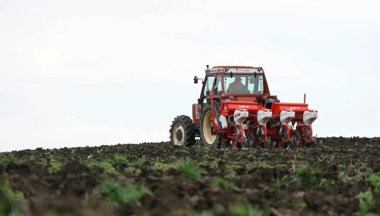 Tarım ÜFE Ekimde yüzde 45,4 arttı: Meyve ve sebzede rekor artış