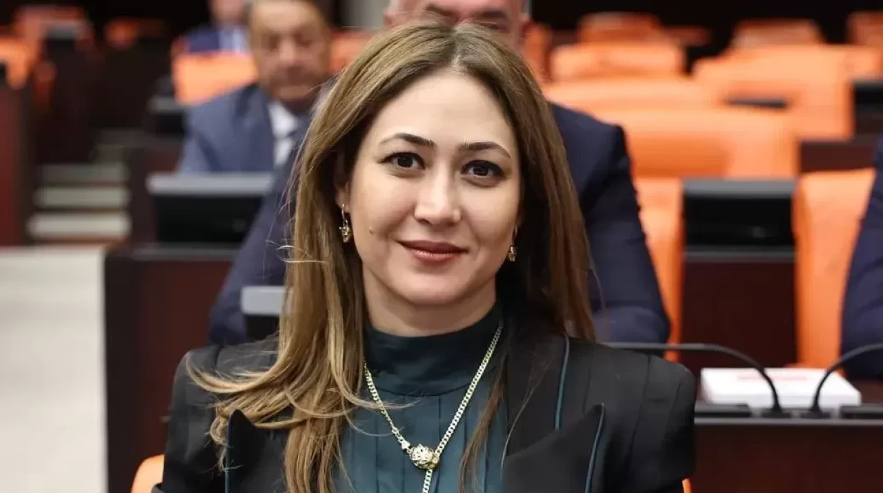 MHP'li Karakoç’tan 'Bayrak olayı' mesajı: Hürriyetimize uzanan emperyalist elin kırılış destanı