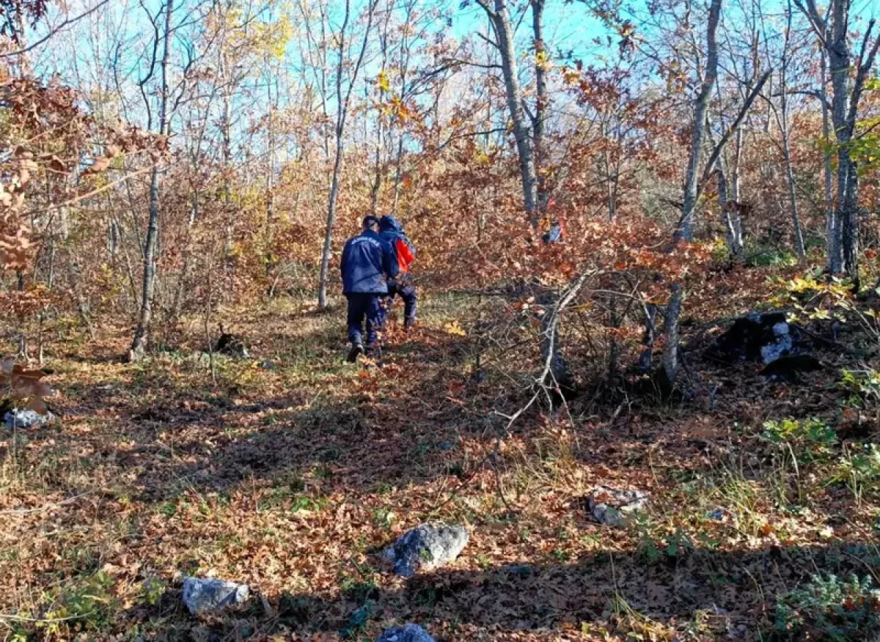 Mantar toplamaya diye evde çıkmıştı!