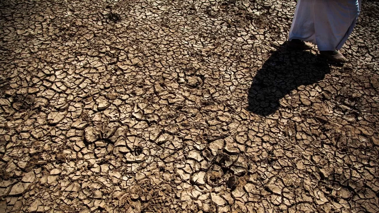 FAO'dan Türkiye'deki erozyon ve kuraklık tehlikesine 8,1 milyon dolarlık estek